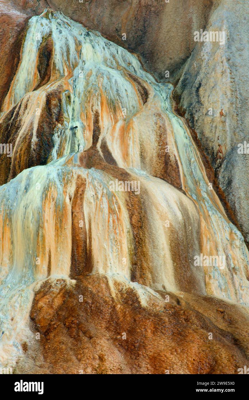 Printemps Orange Mound au Mammoth Hot Springs, Parc National de Yellowstone, Wyoming Banque D'Images