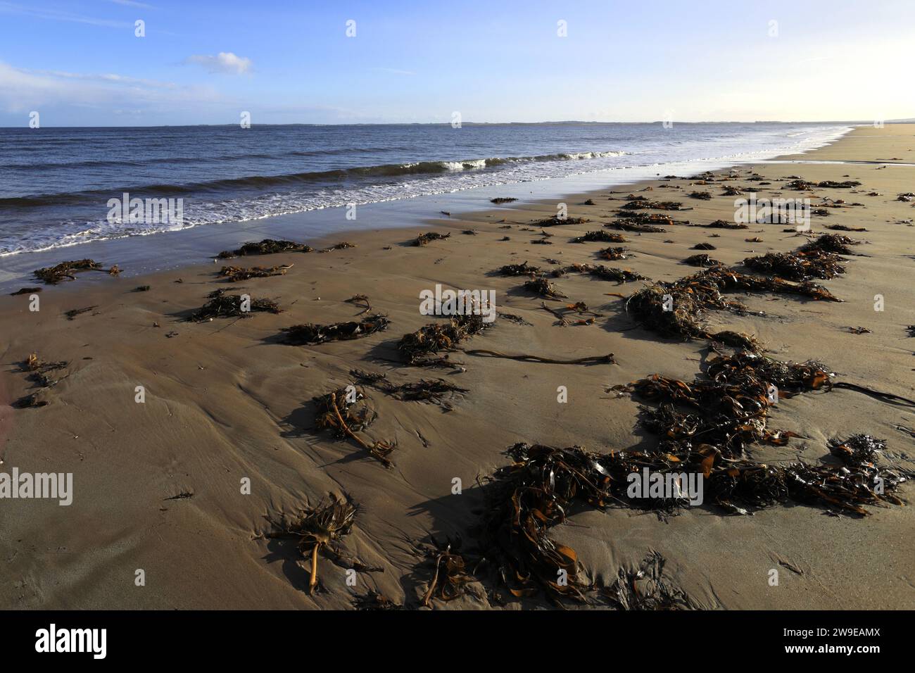 La grande plage de sable au village de Dornoch, côte est de Sutherland, Écosse, Royaume-Uni Banque D'Images