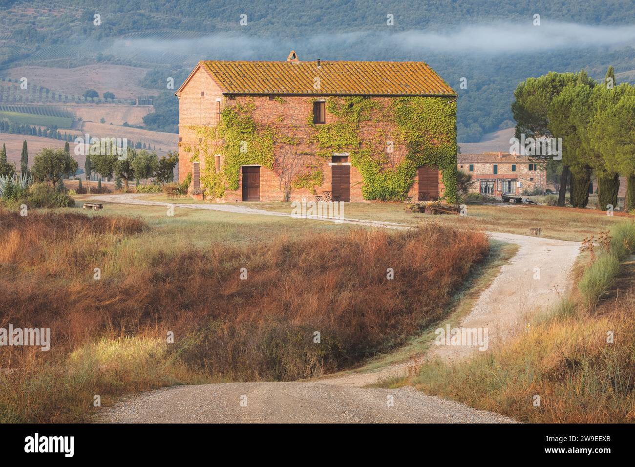 Val d'Orcia, Italie - 31 août 2023 : une route rurale mène à une ancienne ferme toscane couverte de lierre verte dans la campagne pittoresque du Val d'Or Banque D'Images Val d'Orcia, Italie - 31 août 2023 : une route rurale mène à une ancienne ferme toscane couverte de lierre verte dans la campagne pittoresque du Val d'Or Banque D'Images