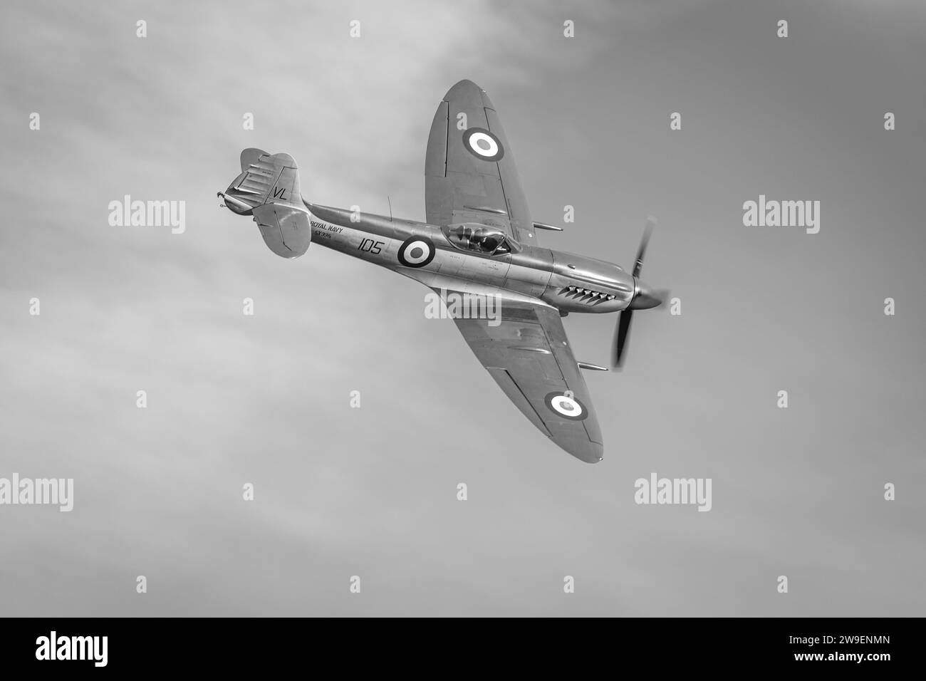 Seafire MkXVII SX336, aéroportée au Race Day Airshow qui s'est tenu à Shuttleworth le 1 octobre 2023. Banque D'Images