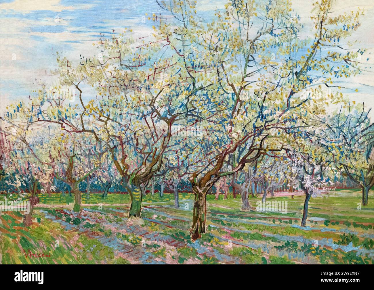 Le verger blanc, Vincent van Gogh, 1888, Banque D'Images