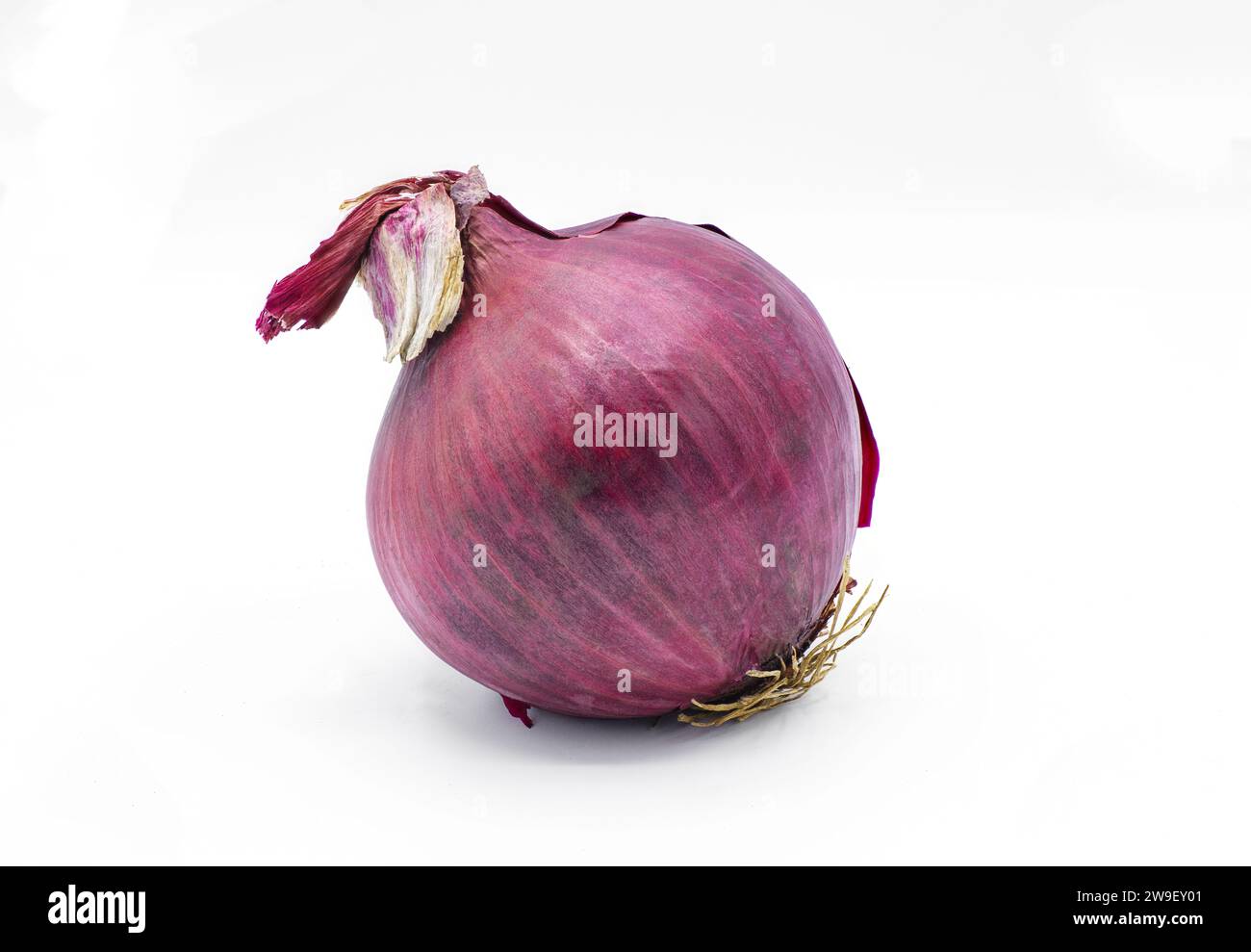Bulbe d'oignon entier rouge doux biologique, isolé sur fond blanc. Utilisé pour la cuisson et l'aromatisation des soupes et des plats de viande. Cru, frais non coupé et Banque D'Images