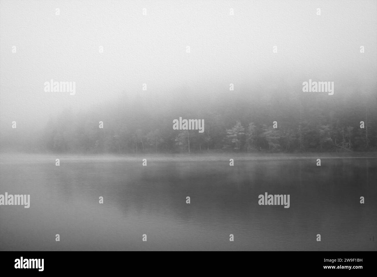 Image en noir et blanc d'un lac calme et brumeux où la limite des arbres se reflète à la surface de l'eau. Banque D'Images