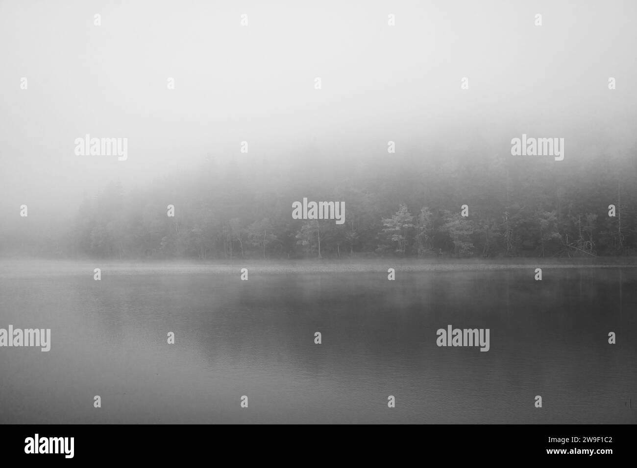 Image en noir et blanc d'un lac calme et brumeux où la limite des arbres se reflète à la surface de l'eau. Banque D'Images