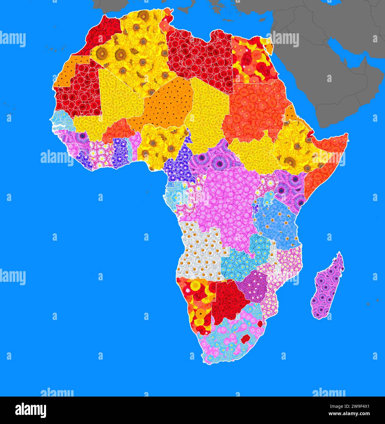 Carte, contour de l'Afrique, les pays conçus avec différentes fleurs de couleur, graphique, continent, symbole pour la protection de l'environnement, conservation de la nature Banque D'Images