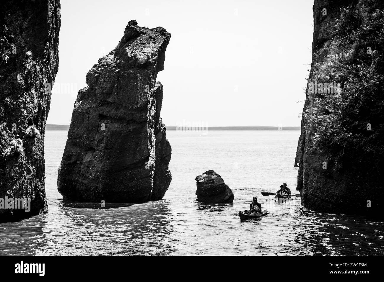 L'érosion côtière a créé des affleurements en pierre « pot de fleurs » que les touristes peuvent parcourir à marée basse dans le parc provincial Hopewell Rocks au Nouveau-Brunswick. Banque D'Images