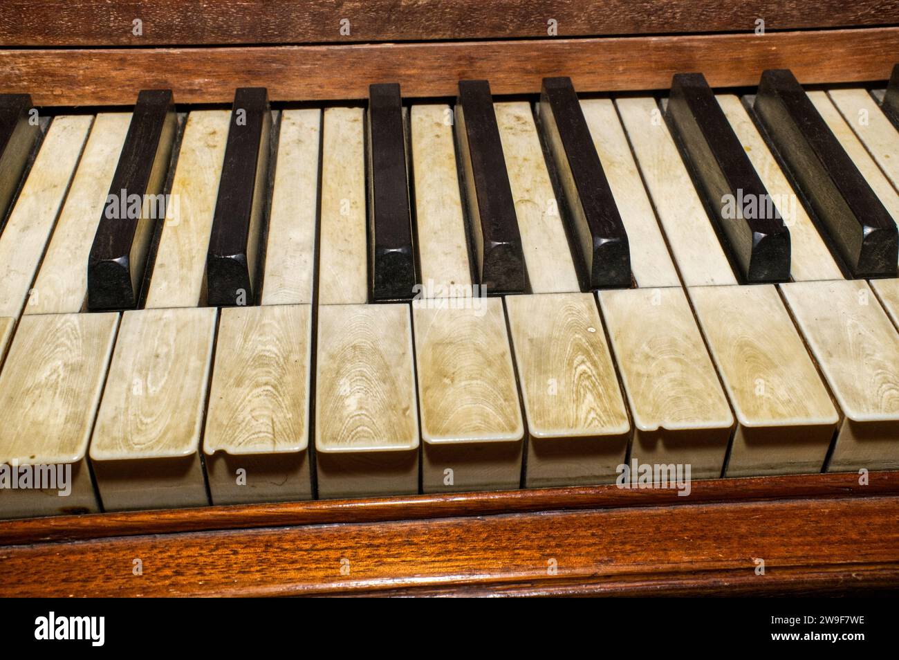 Kit Point Aiguille Bucilla - Chatons Sur Touches De Piano - Nancy Rossi #4805