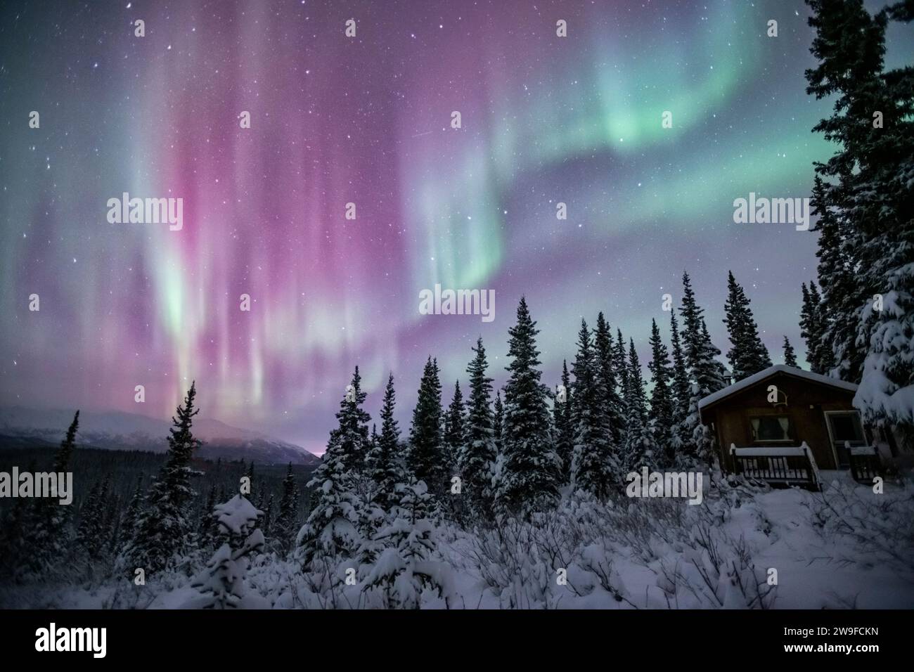 NorthernLights, Aurora Borelais, Alaska Banque D'Images