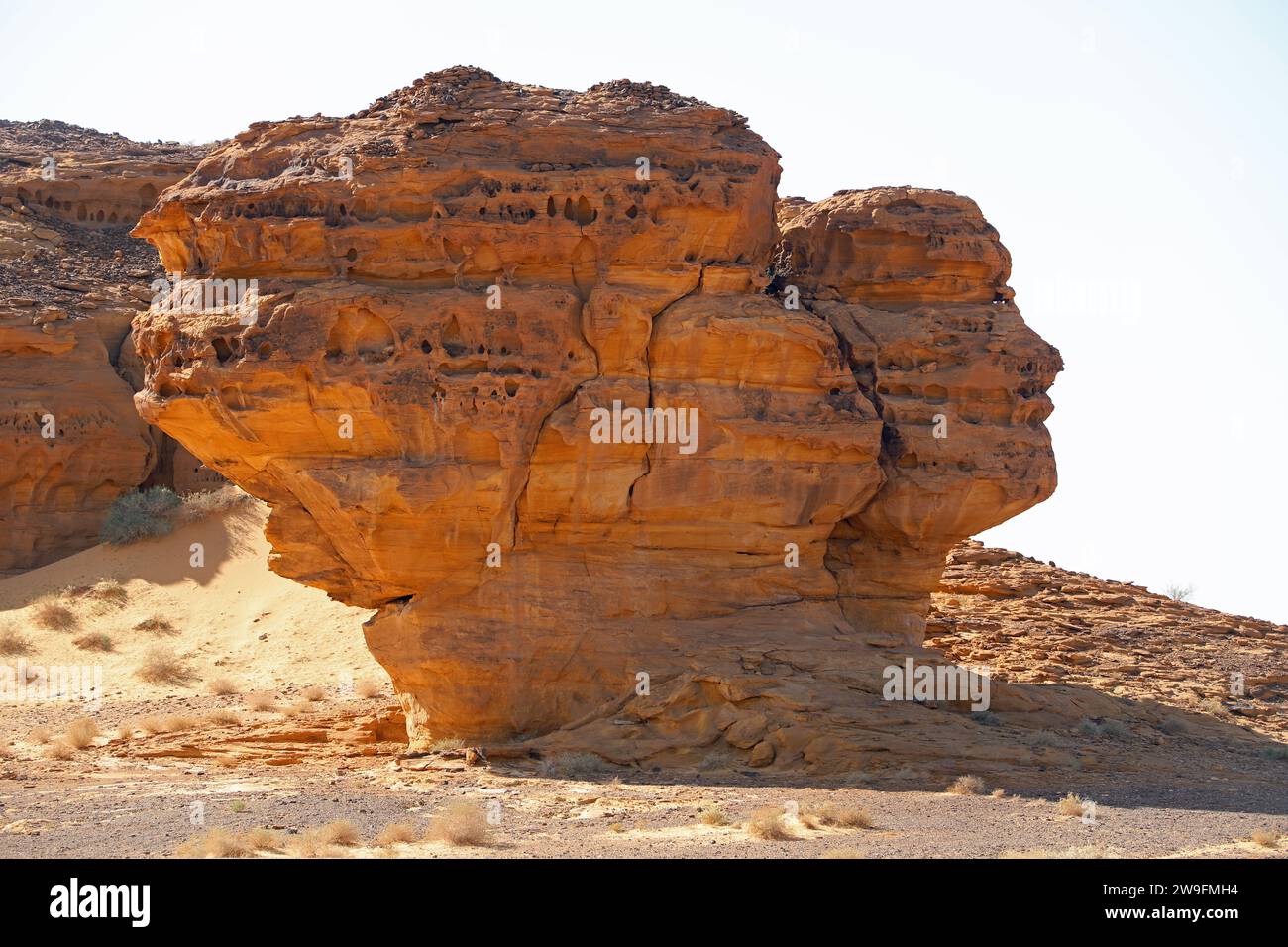 Roche érodée en forme de visage à Alula dans le désert arabe Banque D'Images