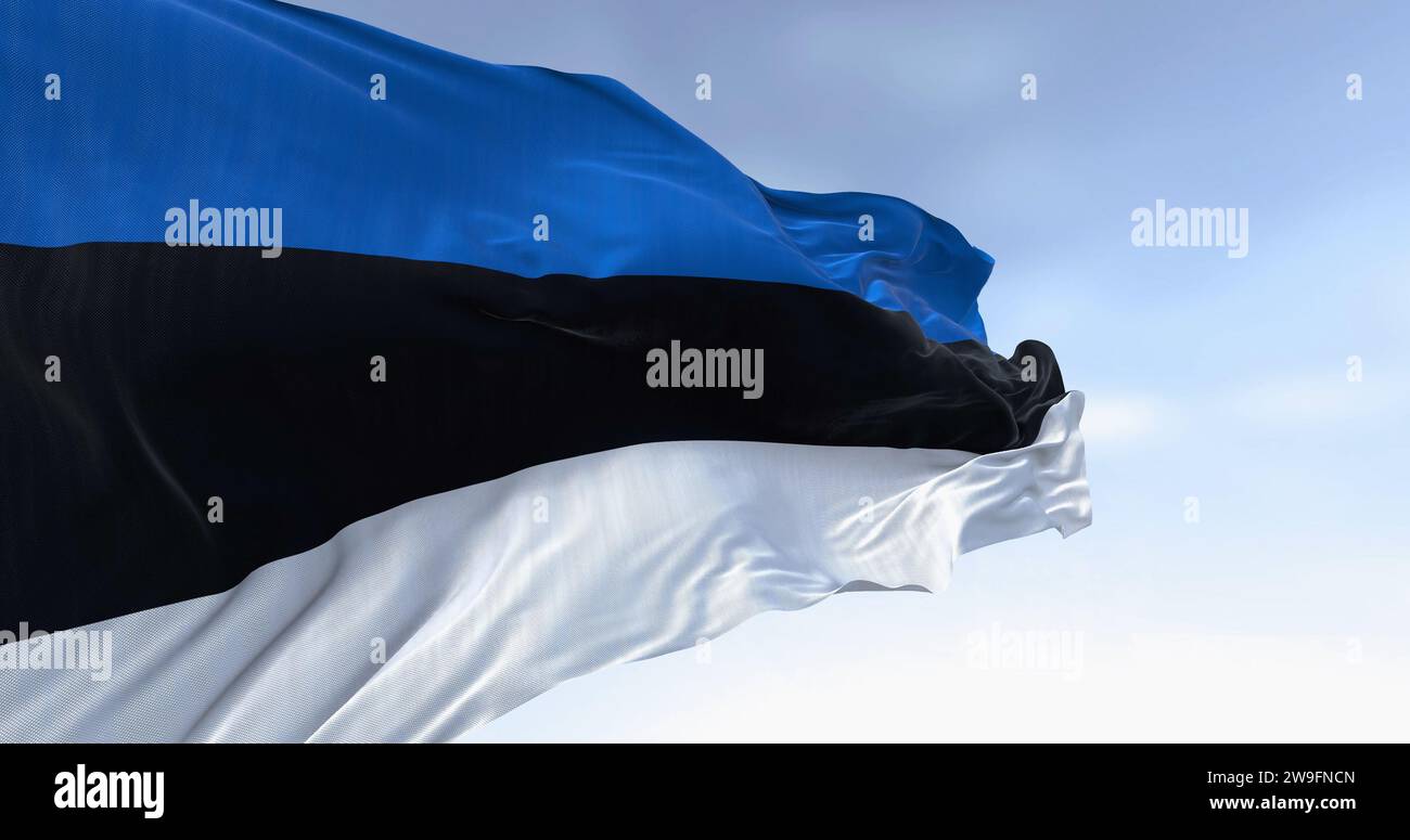 Gros plan du drapeau national de l'Estonie agitant dans le vent par temps clair. Tricolore horizontal avec trois bandes égales de bleu, noir et blanc. 3d il Banque D'Images