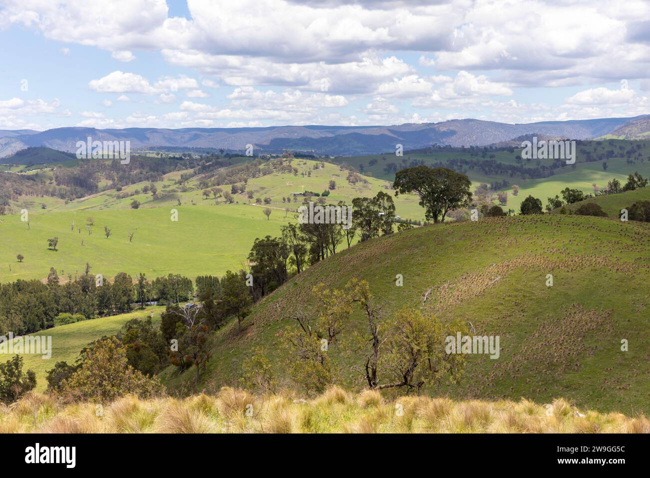 Paysage australien étés jour 2023, campagne et brousse australienne près du village de Hartley dans le centre ouest de la Nouvelle-Galles du Sud, Australie Banque D'Images