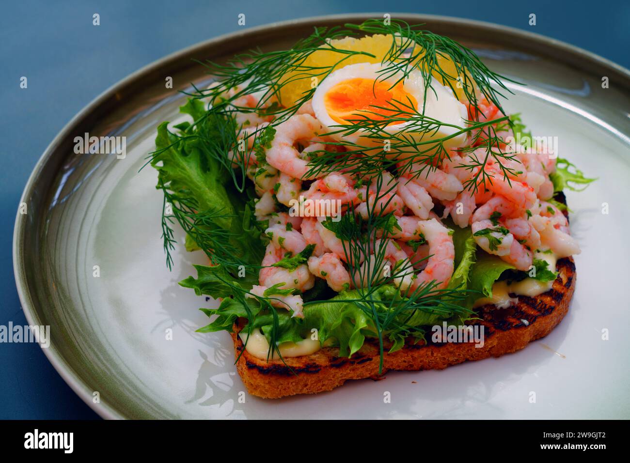 Toast traditionnel aux crevettes scandinaves (toast Skagen) avec aneth, œuf et mayonnaise Banque D'Images