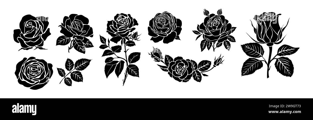 Silhouettes noires de vecteur de rose en fleur fraîche. Illustration de Vecteur