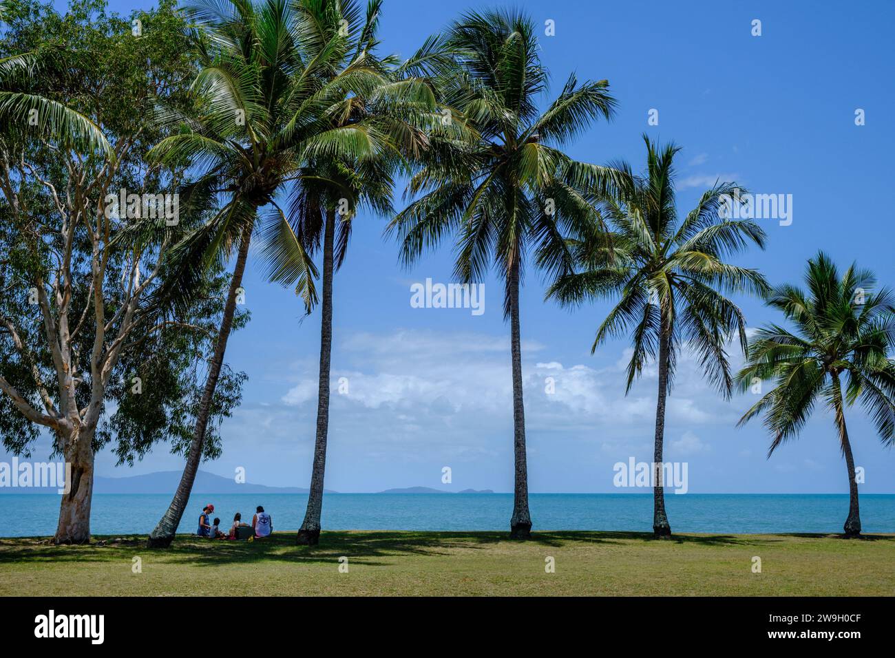 Une famille pique-niquant sous les cocotiers au parc Rex Smeal à Port Douglas avec vue sur Snapper Island, Queensland, Australie Banque D'Images