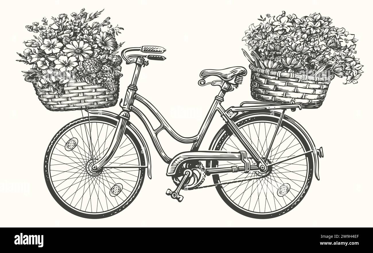 Vélo rétro dessiné à la main avec des fleurs de printemps et des plantes dans le panier. Illustration vectorielle d'esquisse vintage Illustration de Vecteur