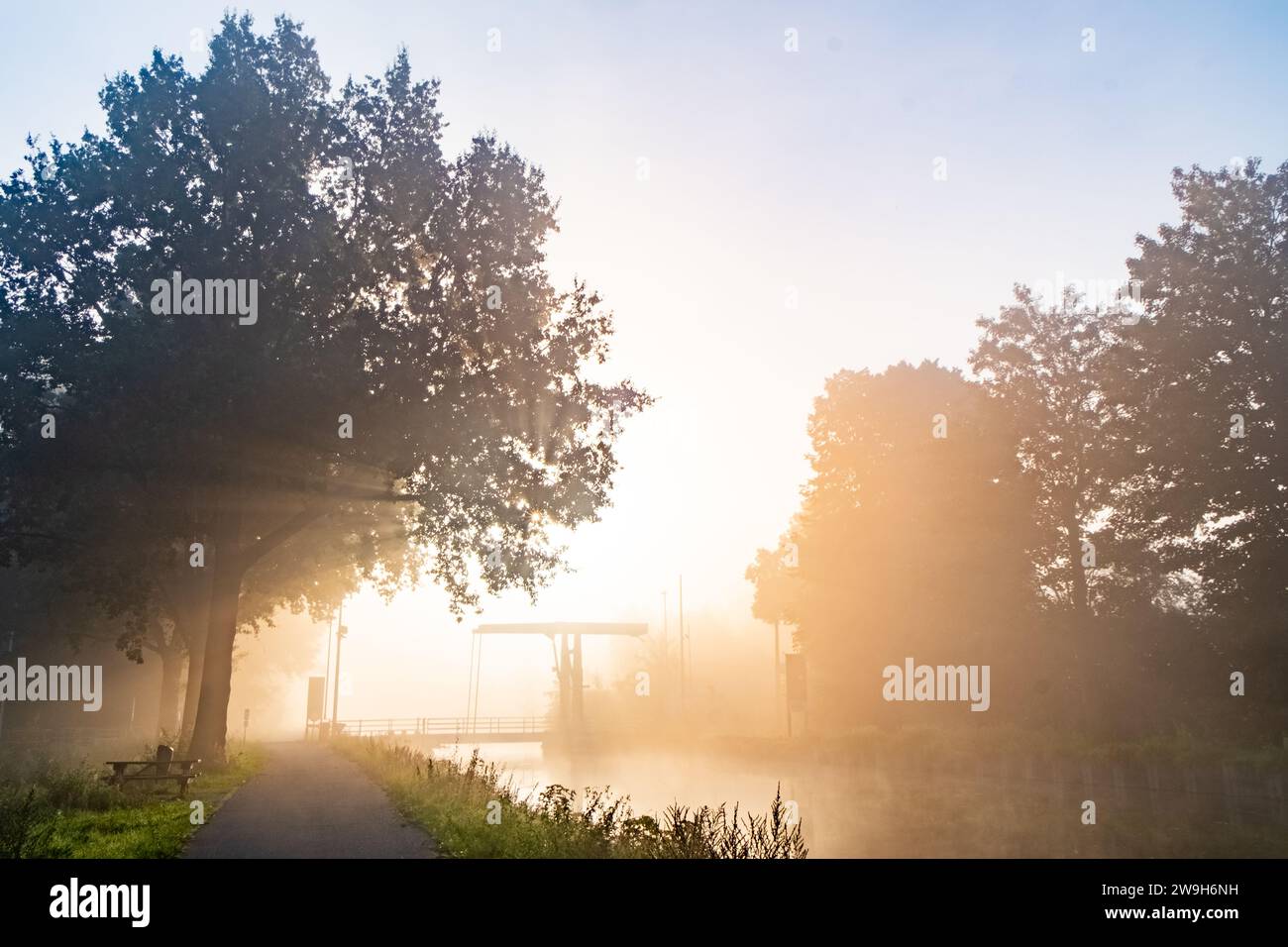 Cette image présente une vue onirique où un sentier pavé serpente le long d'une rivière, tous deux enveloppés dans un brouillard matinal radieux. Les arbres, pleins et luxuriants, se dressent haut sur la gauche, leurs contours adoucis par la brume brillante. La lumière du soleil traverse la brume, créant un contraste éclatant d'ombres et de lumières qui jouent à travers la scène. Un banc sous l'arbre suggère un endroit parfait pour la contemplation. En arrière-plan, un petit pont sur la rivière ajoute une touche pittoresque au paysage pastoral. L'effet global est celui d'une promenade matinale sereine, presque éthérée, accueillante et pleine de merveilles tranquilles. Banque D'Images