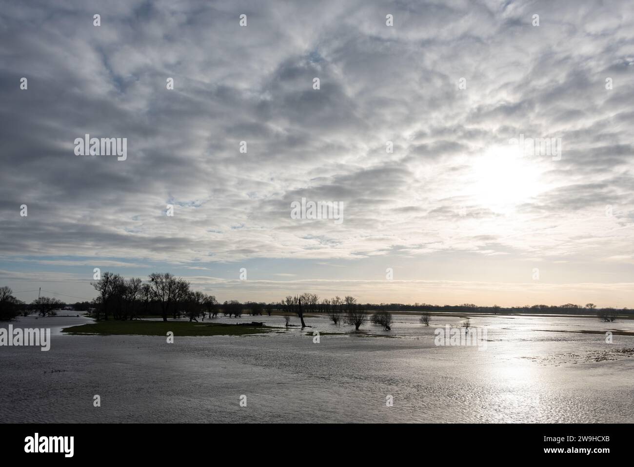 Wittenberge, Allemagne. 28 décembre 2023. Les prairies et les champs le long de l'Elbe sont inondés. Le niveau de l'Elbe à Wittenberge était de 4,95 mètres en début d'après-midi. Crédit : Stephan Schulz/dpa-Zentralbild/dpa/Alamy Live News Banque D'Images