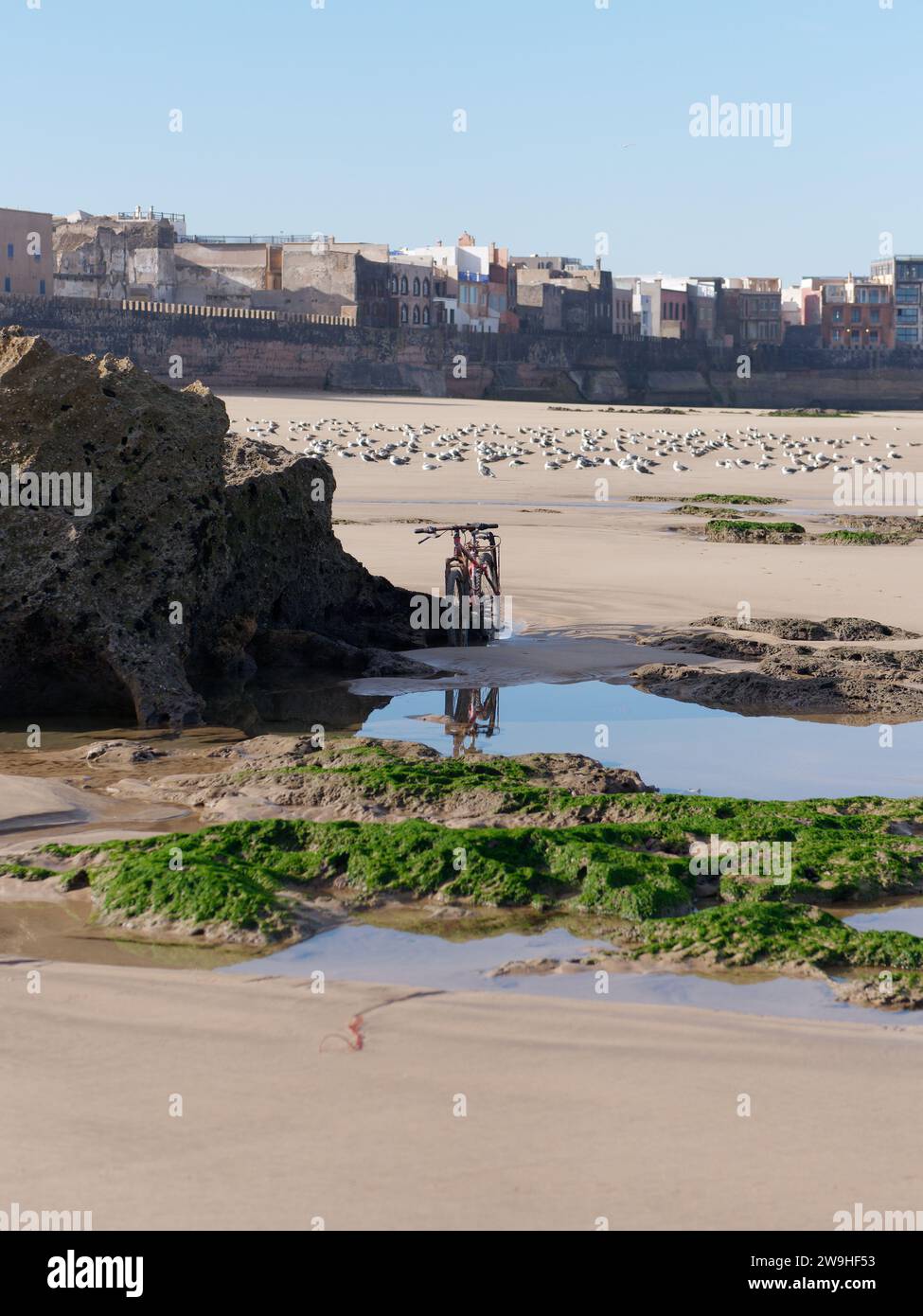 Moto reflétant dans un bassin de marée à côté de rochers sur une plage de sable avec la médina derrière Essaouira, Maroc. 28 décembre 2023 Banque D'Images