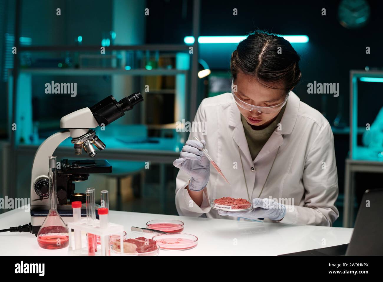 Femme scientifique faisant couler du liquide rose sur de la viande hachée dans une boîte de Pétri assise sur son lieu de travail dans le laboratoire Banque D'Images