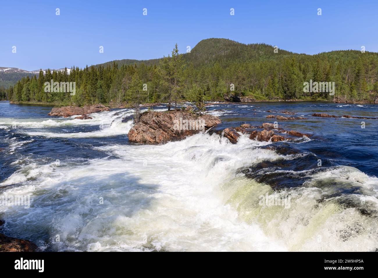 Une journée d'été ensoleillée à Namsskogan, Trondelag, révèle une vue imprenable sur les rapides en cascade, un ciel bleu vibrant et des forêts denses le long de l'edg de la rivière Banque D'Images