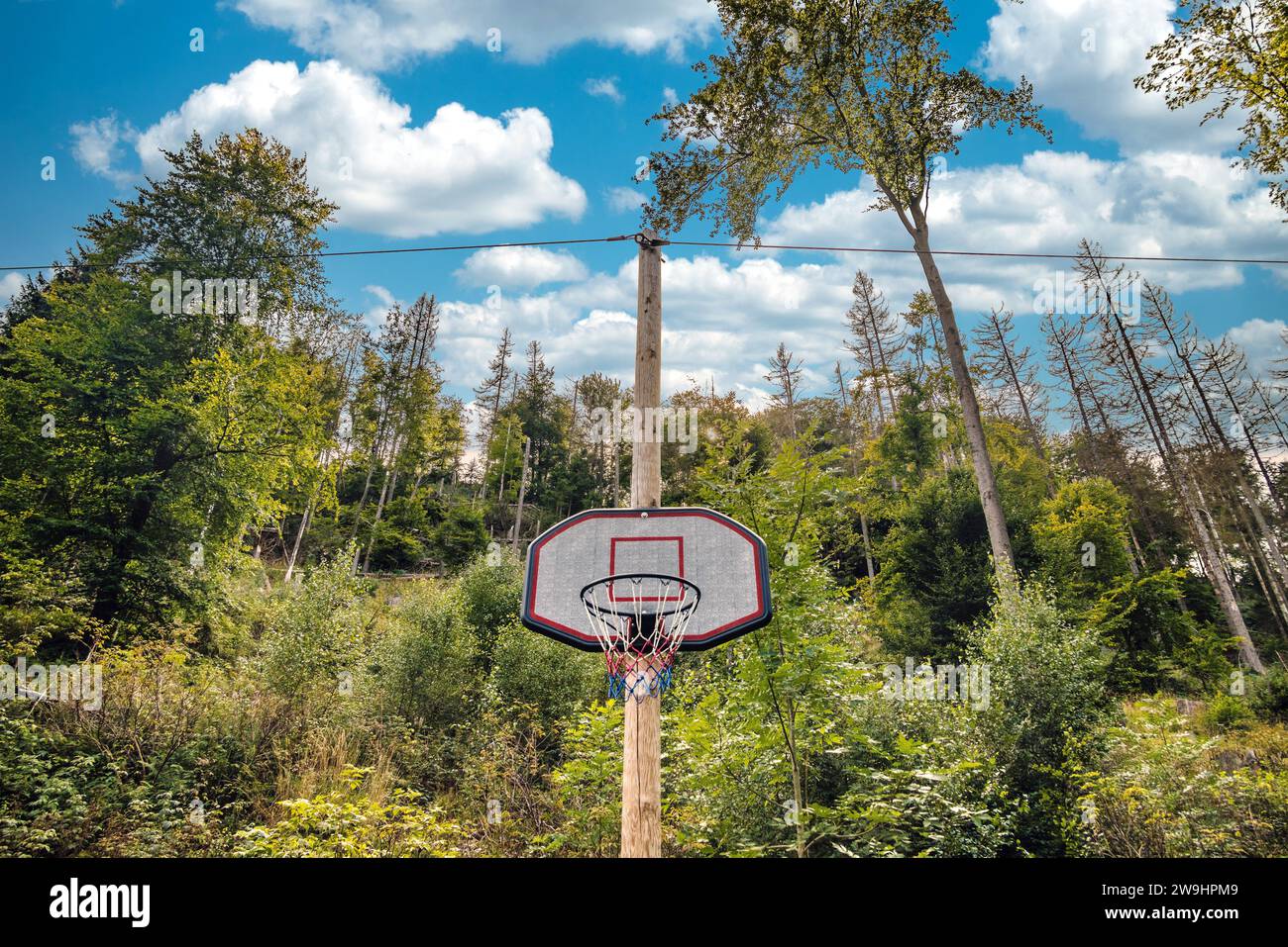 Une aire de basket-ball entoure la forêt par temps nuageux Banque D'Images