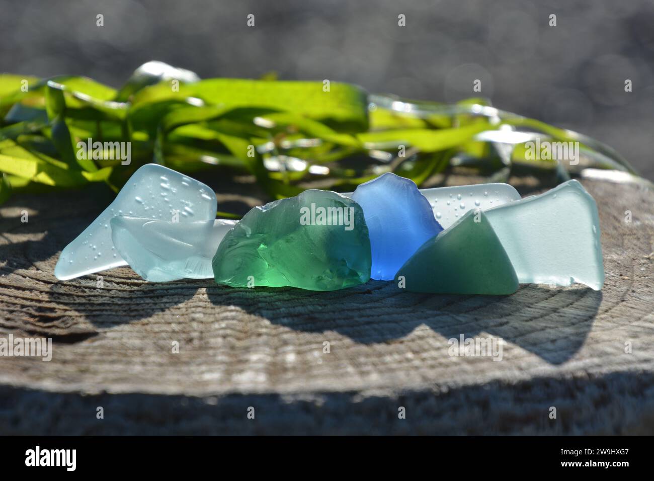 Art original par moi. Verre de mer bleu, vert et clair avec des algues vertes reflétant le soleil sur le bois flotté. Banque D'Images