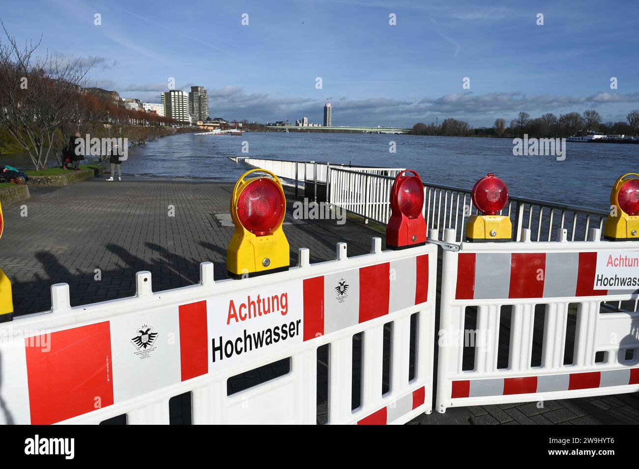 Écharpe Brillante Pour Fête, Thème Pokémon Go, Compatible Android/iOS, Nintendo, Neuf Sous Scellé