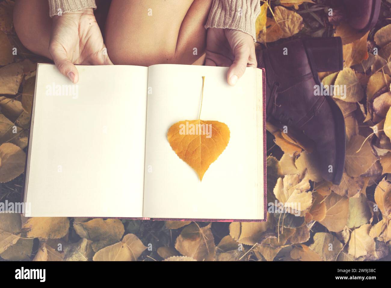 petite feuille d'automne tombée sur une page d'un livre ouvert, concept abstrait Banque D'Images