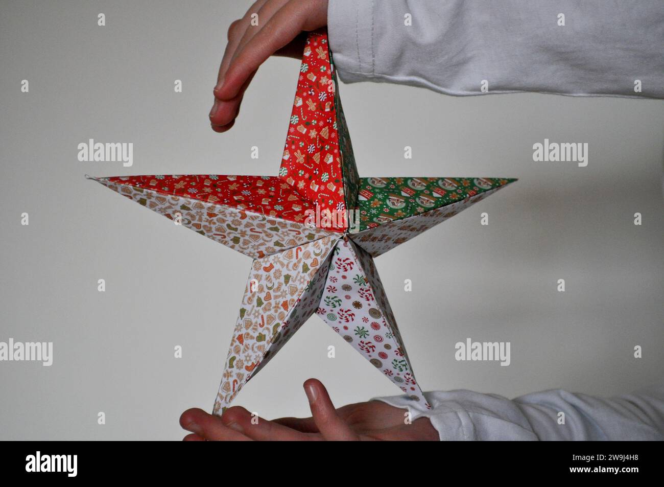 Origami Toile 5 Branches Facilenull