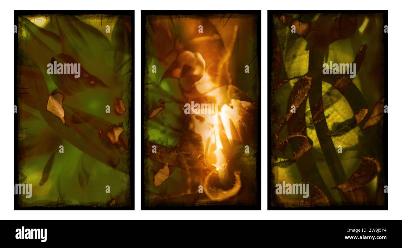 Triptyque mural abstrait élégant. Banque D'Images