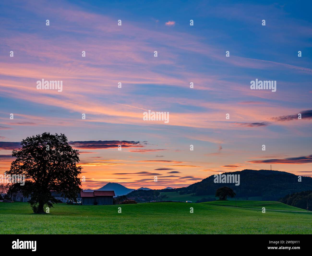 Aube au bord des Alpes, paysage culturel, Hoegl, Anger, Berchtesgadener Land, haute-Bavière, Bavière, Allemagne Banque D'Images