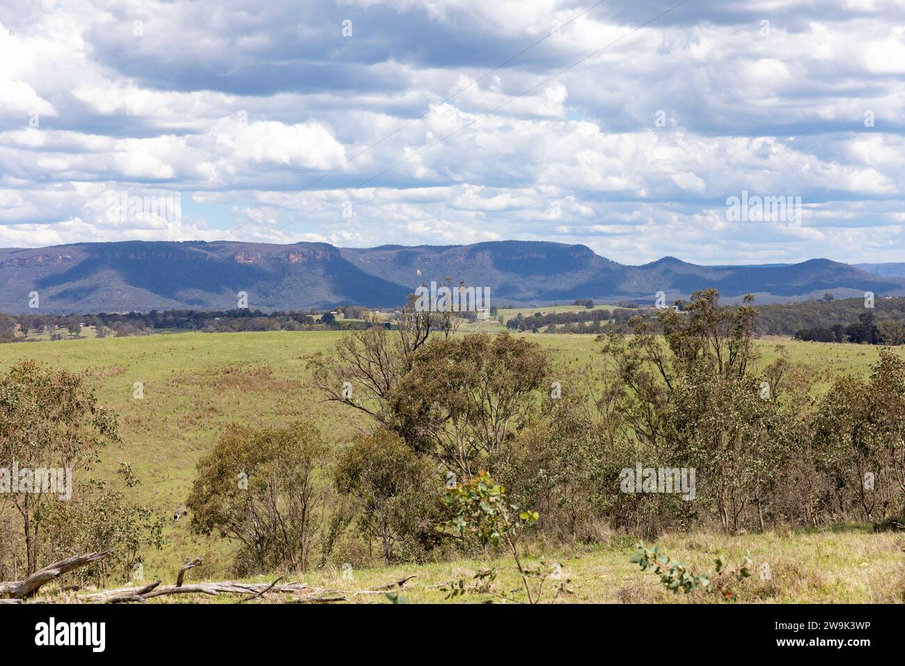 Paysage naturel de brousse australien dans le centre-ouest de la Nouvelle-Galles du Sud, Australie, été 2023 Banque D'Images