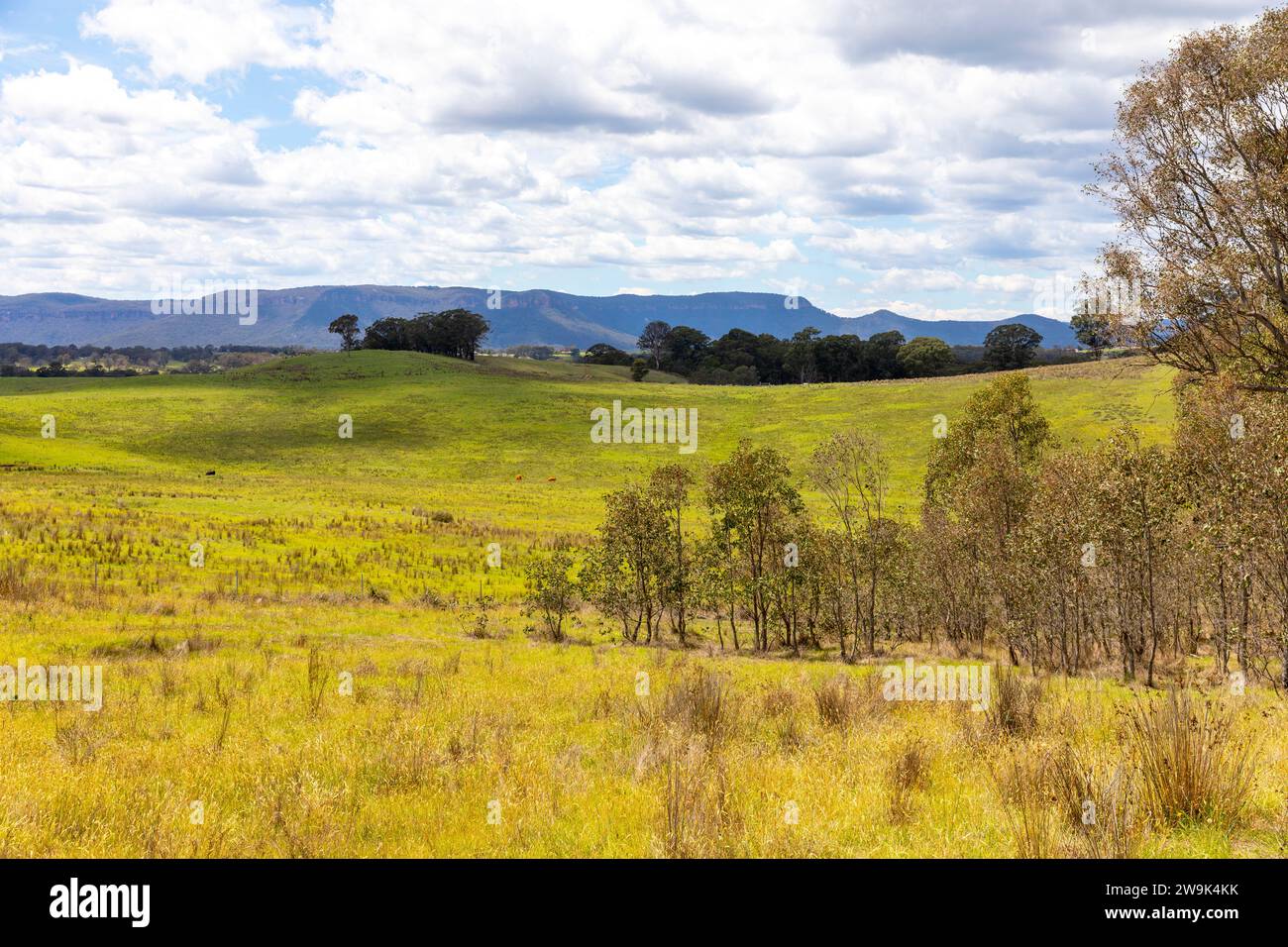 Paysage australien, champs verts et arbres près de la chaîne de montagnes bleues en Nouvelle-Galles du Sud, Australie, été 2023 Banque D'Images