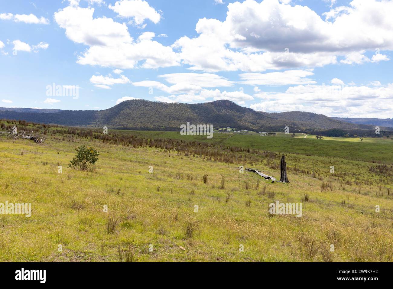Paysage australien, champs verts et arbres près de la chaîne de montagnes bleues en Nouvelle-Galles du Sud, Australie, été 2023 Banque D'Images