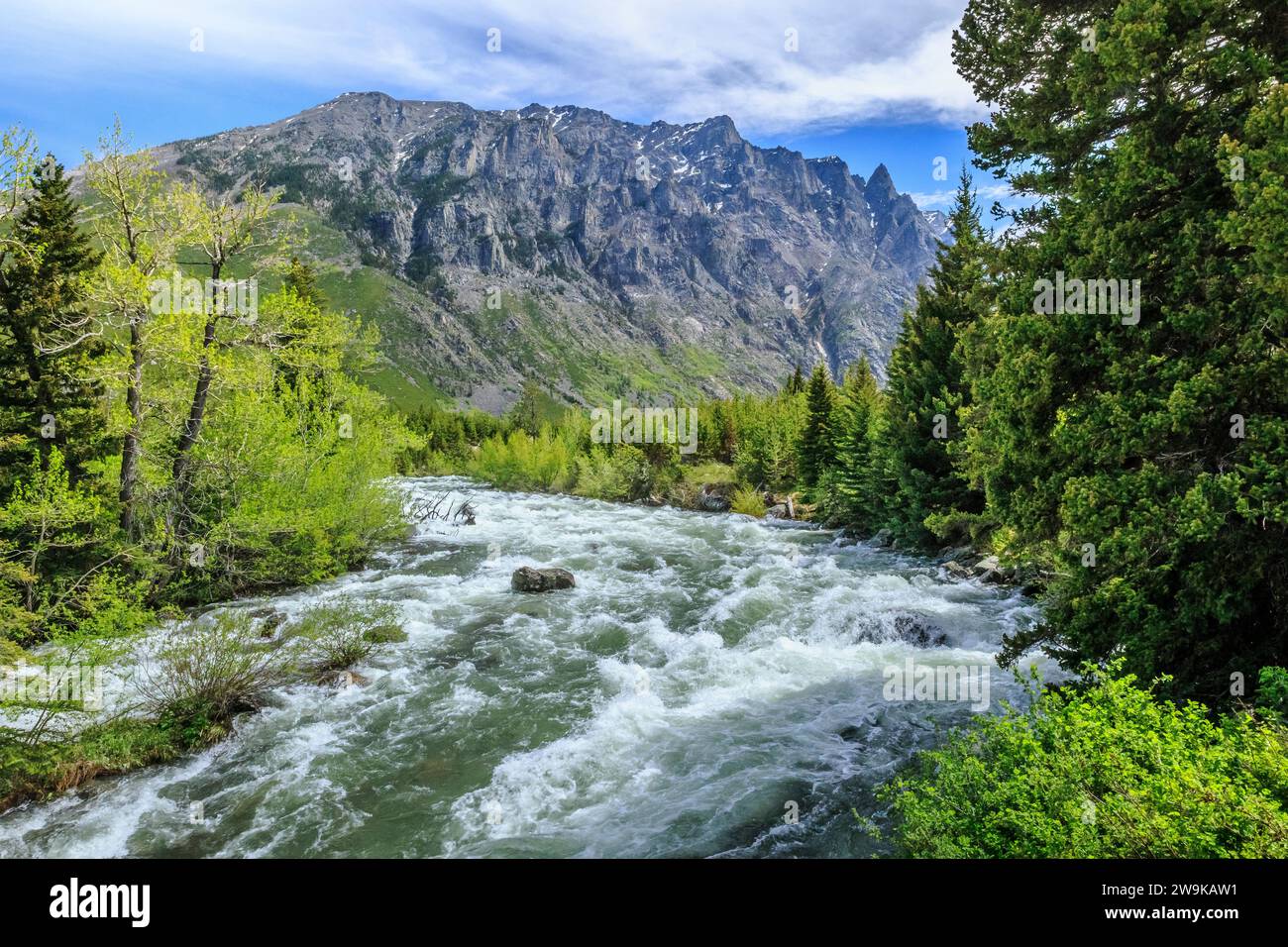 east rosebud creek s'écoulant des montagnes de beartooth dans la forêt nationale de custer près de roscoe, montana Banque D'Images