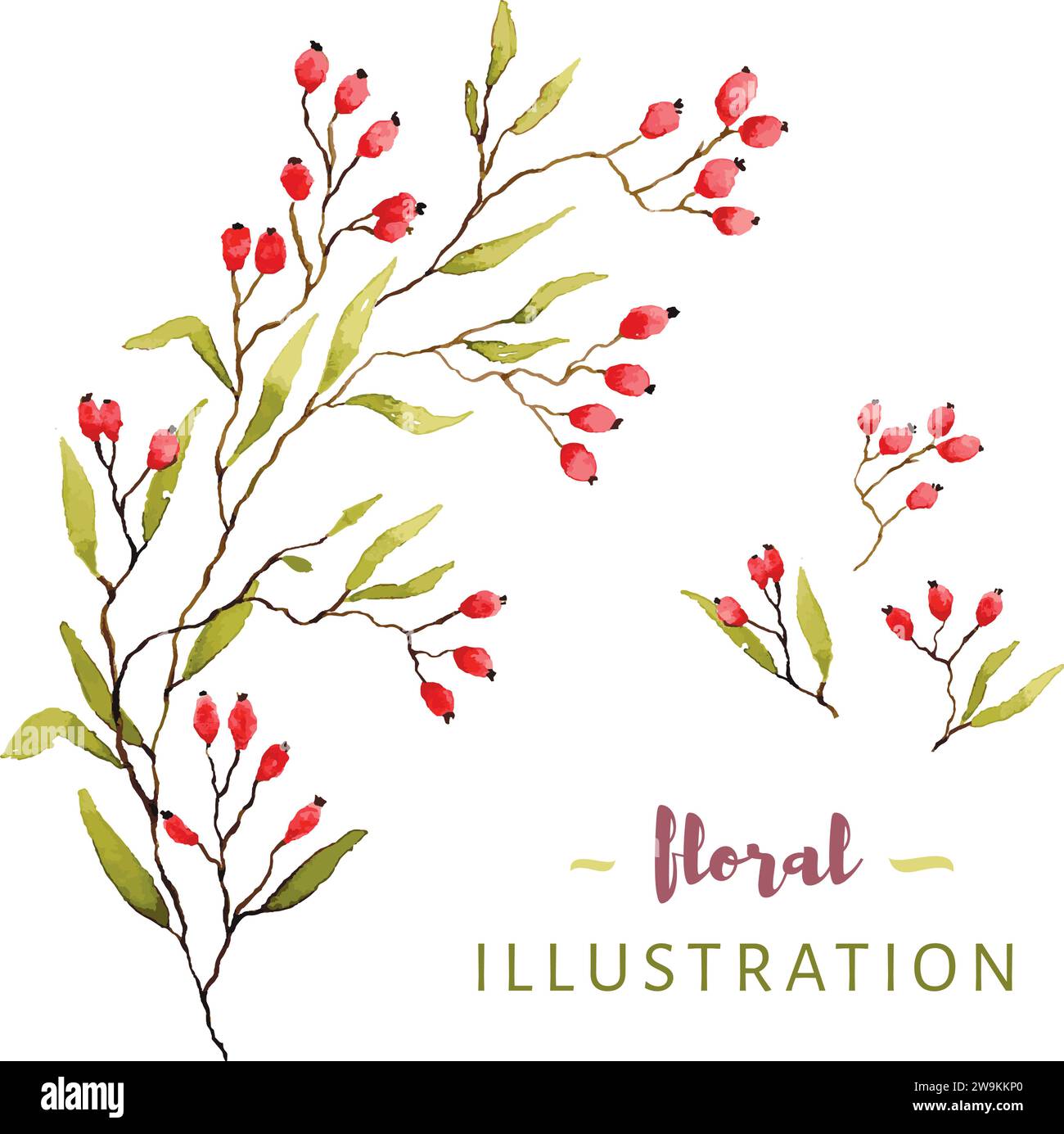 Vector aquarelle illustration florale feuilles et bourgeons pour la conception et les cartes Illustration de Vecteur