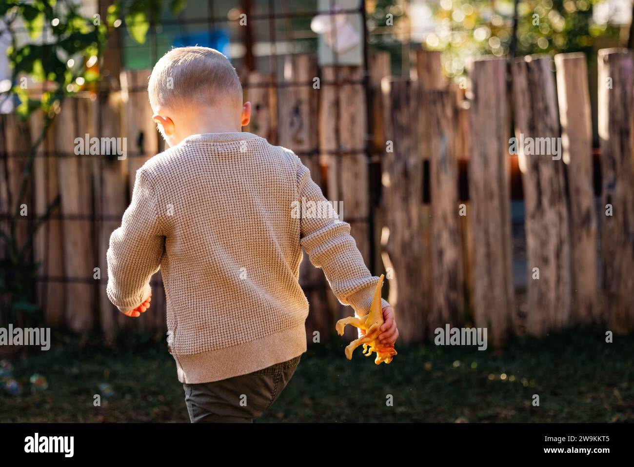 Enfant d'âge préscolaire marchant dans la lumière dorée du matin portant dinosaure jouet Banque D'Images