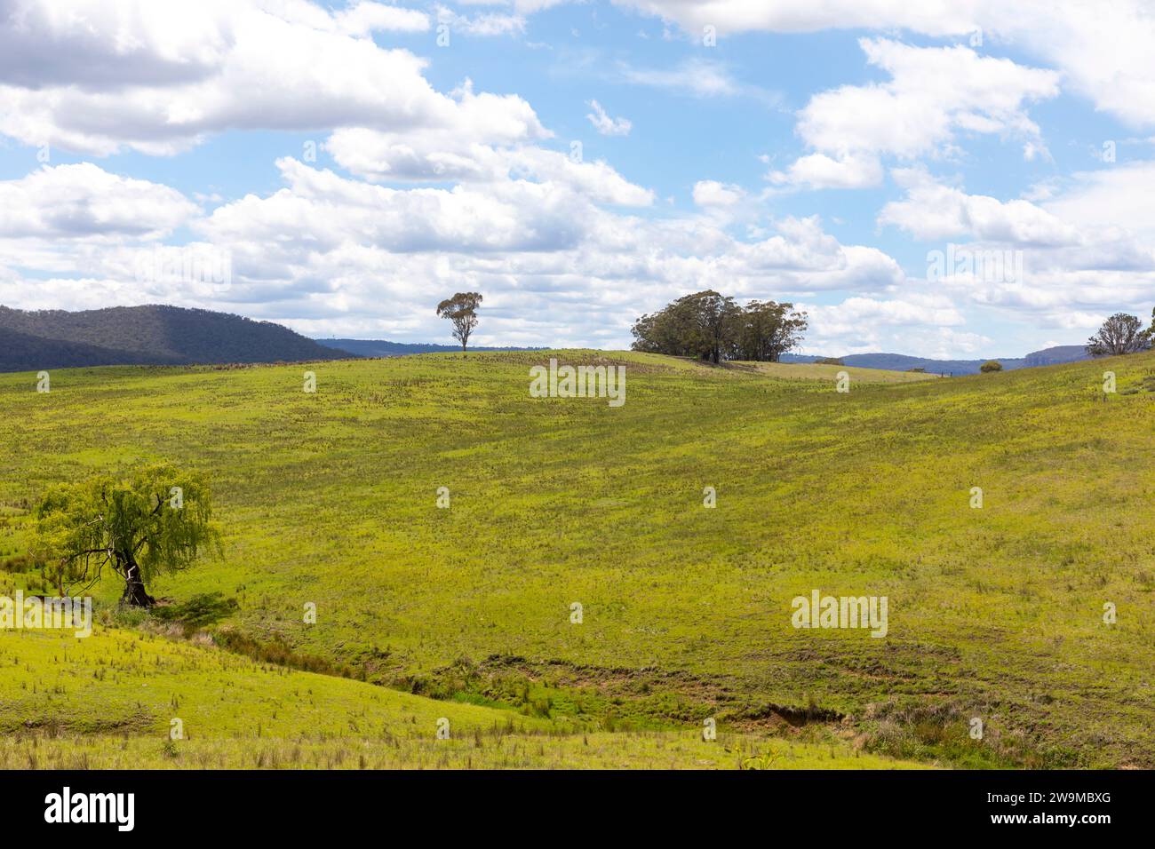 Paysage Australie, campagne verte dans le centre-ouest de la Nouvelle-Galles du Sud dans la région de Lithgow, Nouvelle-Galles du Sud, Australie, été 2023 Banque D'Images