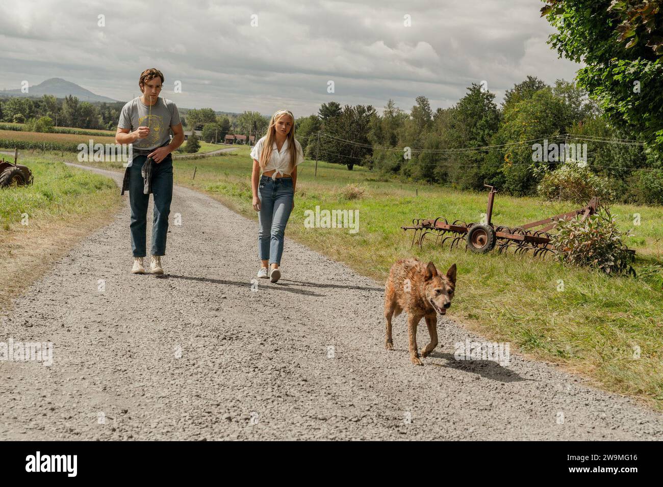 DATE DE SORTIE : 6 octobre 2023. TITRE : Sematary PET : Bloodlines. STUDIO : Paramount Pictures. RÉALISATEUR : Lindsey Anderson Beer. INTRIGUE : en 1969, un jeune Jud Crandall et ses amis d'enfance se regroupent pour affronter un mal ancien qui s'est emparé de leur ville natale de Ludlow. AVEC JACKSON WHITE dans le rôle de Judson Crandall, NATALIE ALYN LIND dans le rôle de Norma. (Image de crédit : © Paramount Pictures/Entertainment Pictures/ZUMAPRESS.com) USAGE ÉDITORIAL SEULEMENT! Non destiné à UN USAGE commercial ! Banque D'Images