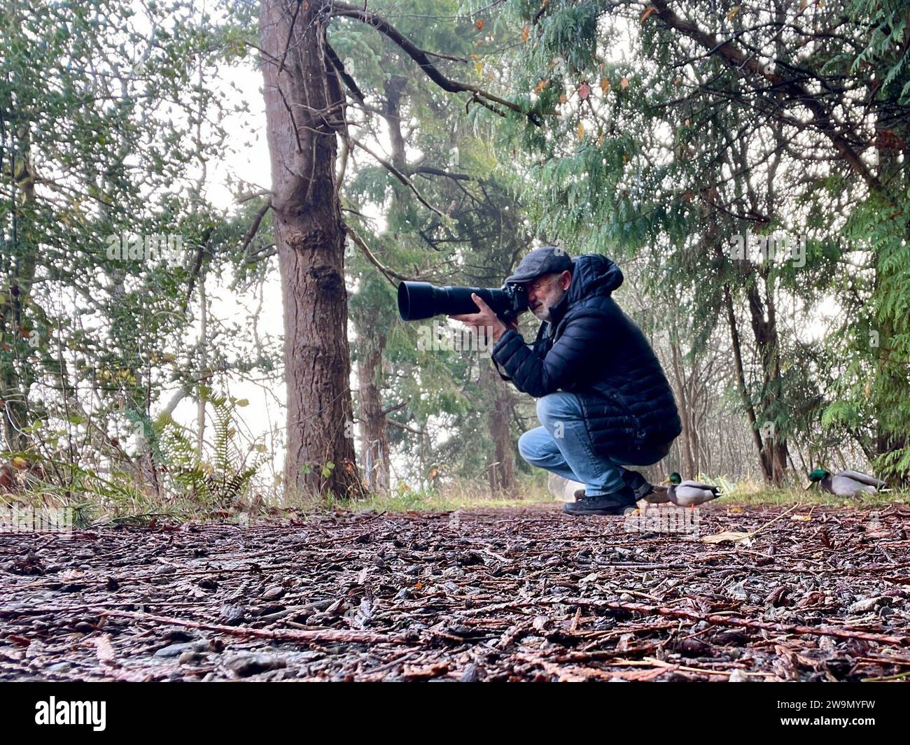 Homme accroupi dans un paysage rural prenant une photo avec un appareil photo à objectif long, Vancouver, Colombie-Britannique, Canada Banque D'Images