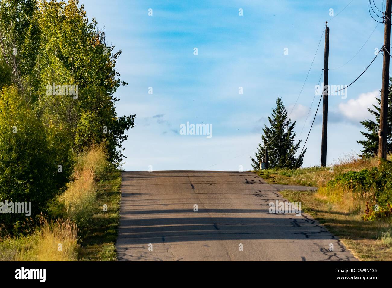 Route droite jusqu'à une colline, Salmon Arm, région de Columbia-Shuswap, Colombie-Britannique, Canada Banque D'Images