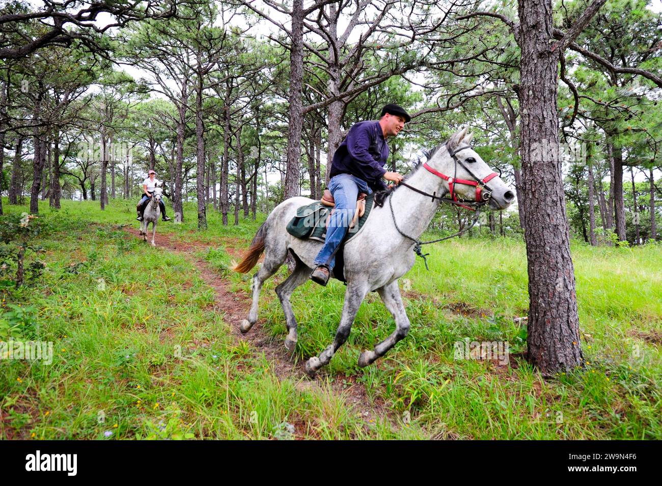 Un homme et une femme montent à cheval sur un sentier à travers la campagne du Chiapas, au Mexique. Banque D'Images