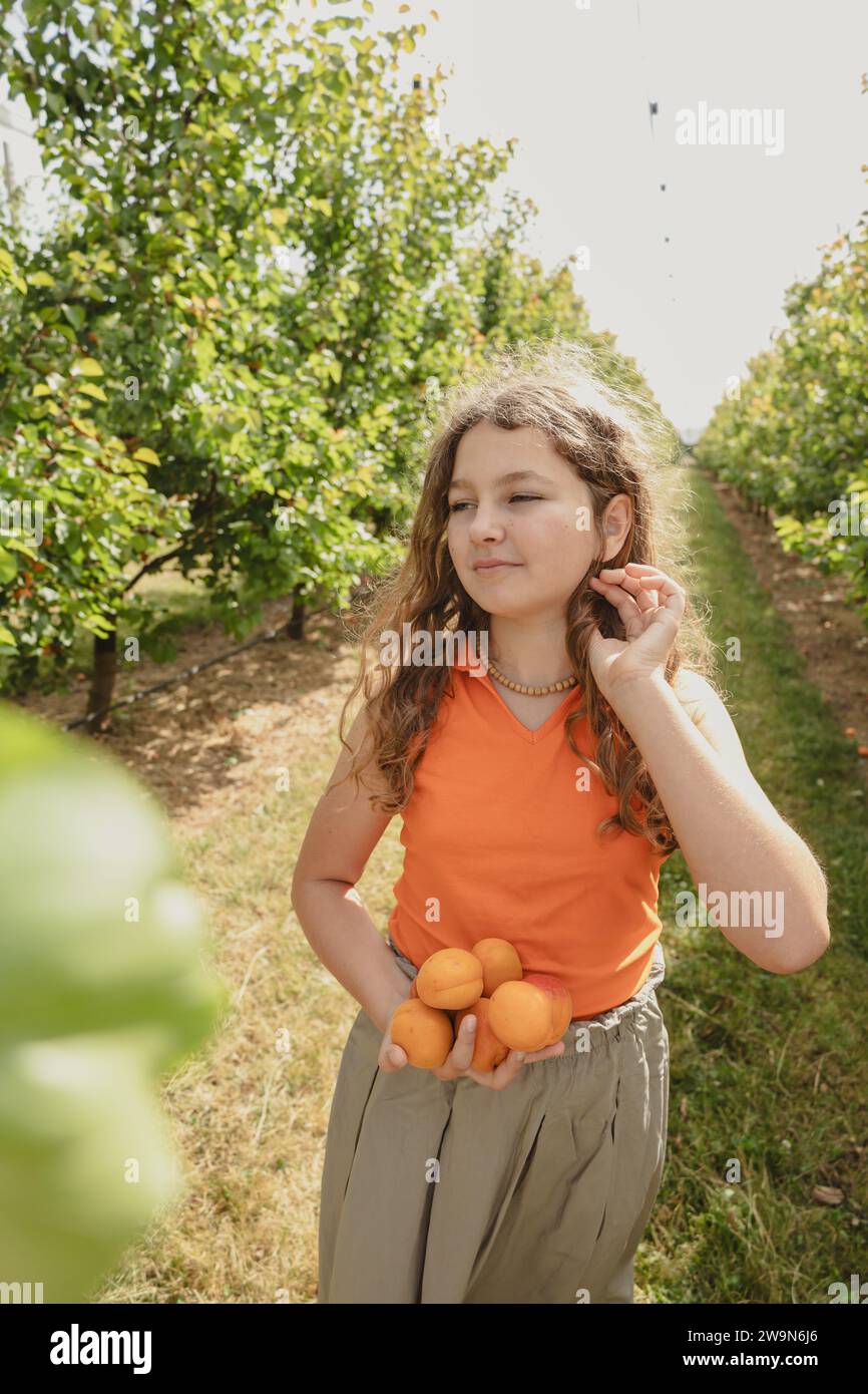 Fille récoltant des abricots juteux dans un verger.Harvest Banque D'Images