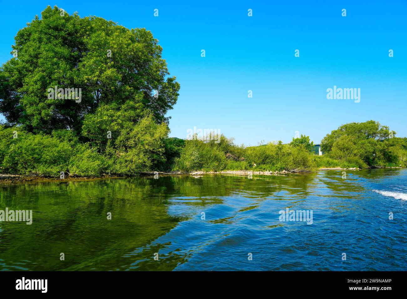 Vue sur la Ruhr près de Mühlheim an der Ruhr. Paysage au bord de la rivière dans la région de la Ruhr. Banque D'Images