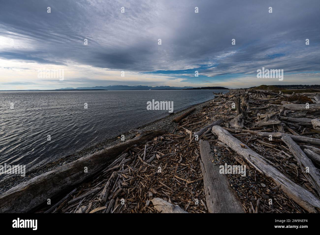 Driftwood Park sur Whidbey Island, WA Banque D'Images