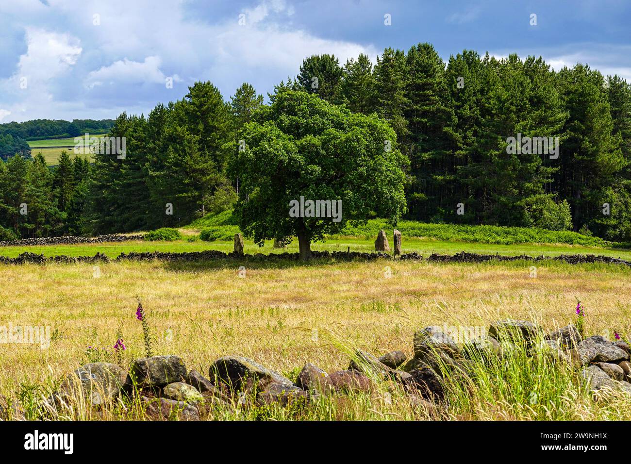 Nine Stones Close Stone Circle, Bakewell, Derbyshire, Peak District Banque D'Images