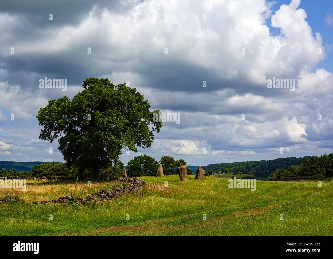 Nine Stones Close Stone Circle, Bakewell, Derbyshire, Peak District Banque D'Images