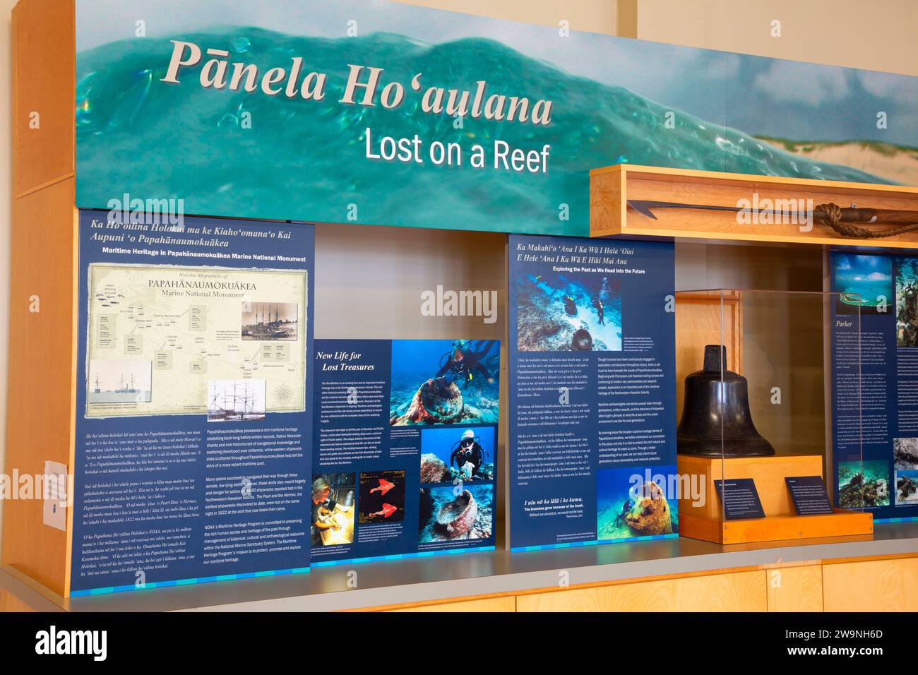 Exposition du sanctuaire marin national, Mokupapapa Discovery Center, Hilo, Hawaï Banque D'Images