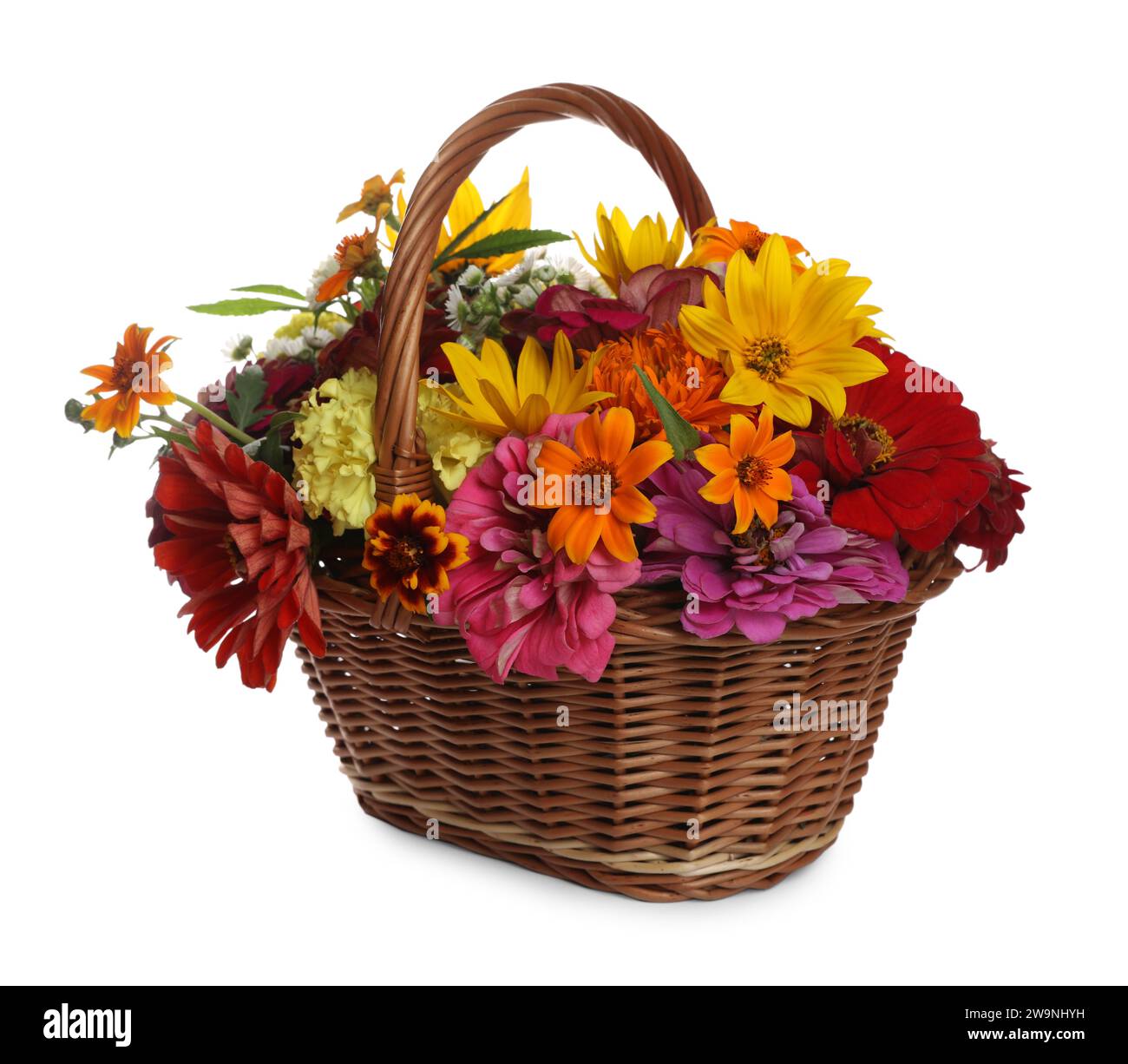 Belles fleurs sauvages dans panier en osier isolé sur blanc Banque D'Images