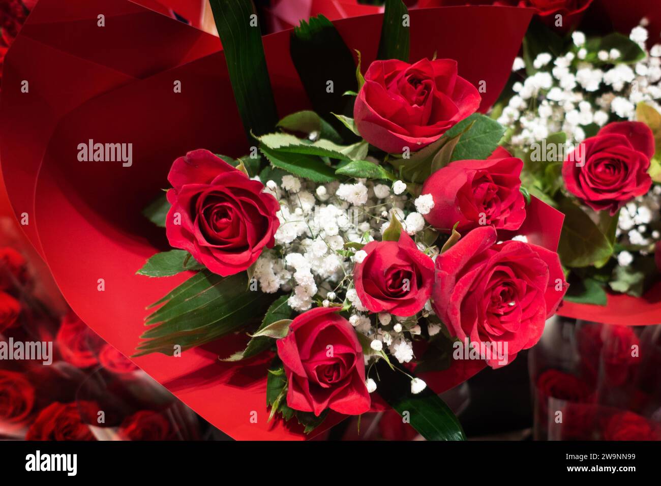 Une demi-douzaine de roses rouges enveloppées bouquet avec des fleurs blanches, pour la Saint-Valentin, la fête des mères, comme cadeau d'anniversaire ou un article surprise datant. Banque D'Images